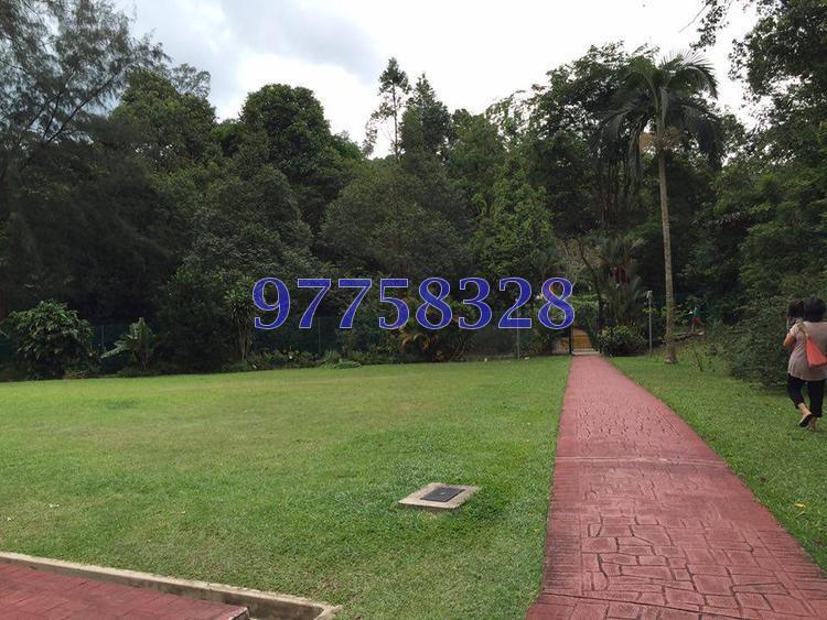 Normanton Park (Enbloc) (D5), Condominium #111107512